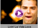 Ricky Martin - Livin' La Vida Loca
