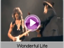 Zucchero - Wonderful Life    
