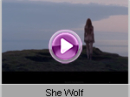David Guetta - She Wolf  