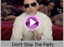 Pitbull - Don't Stop The Party