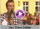 The Baseballs  - Hey There Delilah   
