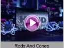 Blue Man Group - Rods And Cones